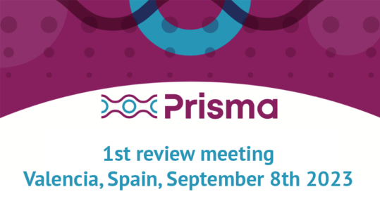 Prisma review meeting